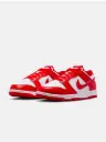 Nike Dunk Low Retro Men's Shoes